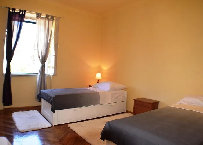 Design Bacvice Arti سبليت