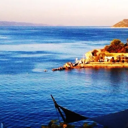 Design Bacvice Arti B&B 스플리트